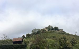 Blick auf Weibertreu Weinsberg